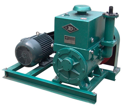 JXS-E05真空泵(Vacuum Pump)